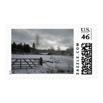 Horse in Snowy Field postage