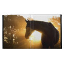 Horse in Sun Rays iPad Cases