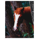 Horse in the forest flyers