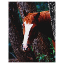 Horse in the forest letterhead design