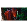 Horse in the forest photo card