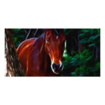 Horse in the forest photo card
