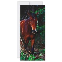 Horse in the forest rack card design