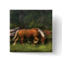 Horse - In the Meadow buttons