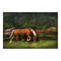 Horse - In the Meadow posters