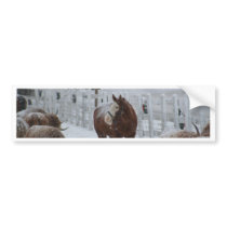 Horse in the snow bumper stickers
