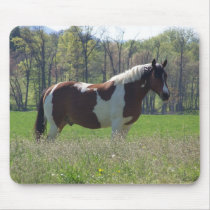 Horse in the Wildflowers mousepads