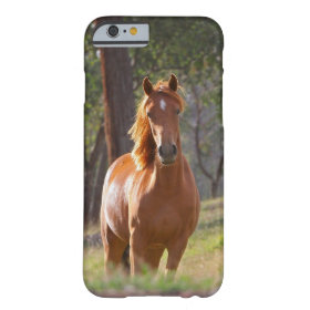 Horse In The Woods Barely There iPhone 6 Case