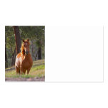 Horse In The Woods Business Card Template