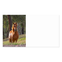 Horse In The Woods Business Card Template