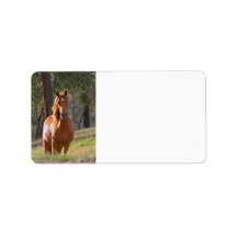 Horse In The Woods Labels