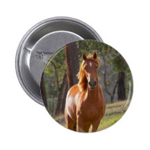 Horse In The Woods Pin