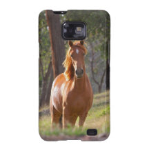 Horse In The Woods Samsung Galaxy SII Cases