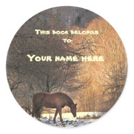 Horse in Winter Bookplate Stickers