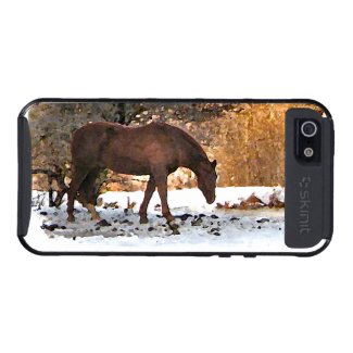 Horse in Winter iPhone 5 Cases