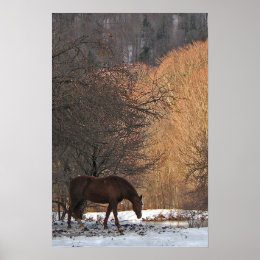 Horse in Winter print