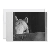Horse inside a Stable Invitation