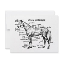Horse invitations