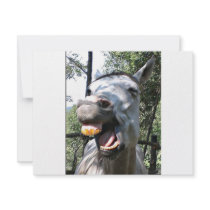 Horse invitations