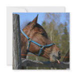 Horse invitation