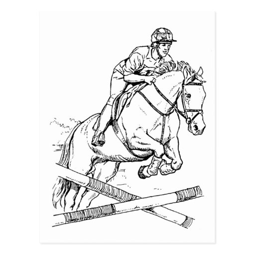 Horse Jumping Post Card