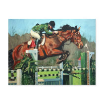 Horse jumping postcards by jeffoehmen Horse jumping postcards