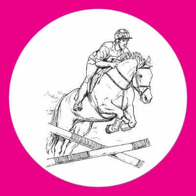 Horse Jumping Stickers Zazzle_sticker