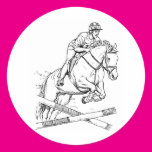 Horse Jumping Stickers