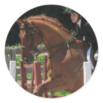 Horse Jumping Stickers