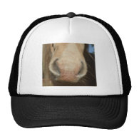 Horse Kiss Mesh Hats