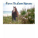 Horse Ladies T-Shirt Beach