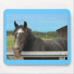 Horse Laughing mousepads
