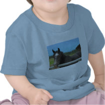 Horse Laughing T-shirts