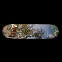 Horse Looking Back skateboard skateboards