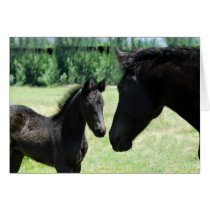 Horse love between mom and her baby foal card