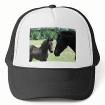 Horse love between mom and her baby foal hat