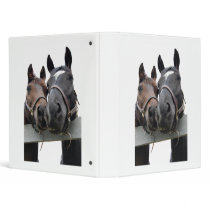 Horse Love binders