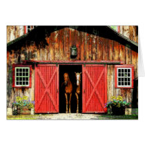 Horse Love cards