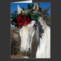 Horse Love cards