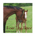 Horse Love, Joy,Peace t-shirts by BowNRanch Horse Love, Joy,Peace t-shirts