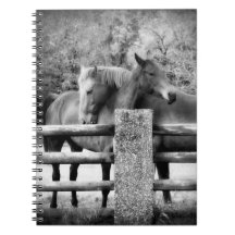 Horse Love - Pair of Horses in Loving Embrace Note Books