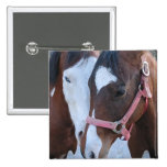 Horse Love Pins