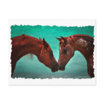 Horse Love postcards by Gifts_by_Magdalena Horse Love postcards
