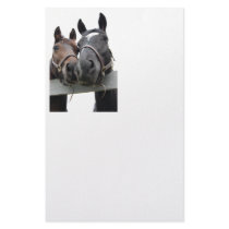 Horse Love stationery