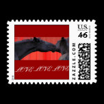 Horse Love USPS Postcard Stamps