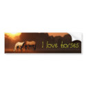 Horse lover bumper stickers