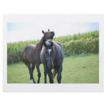 Horse Lover flyers