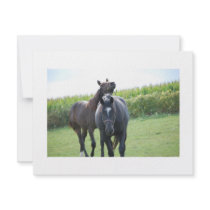 Horse Lover invitations