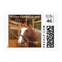 Horse Lover Stamp