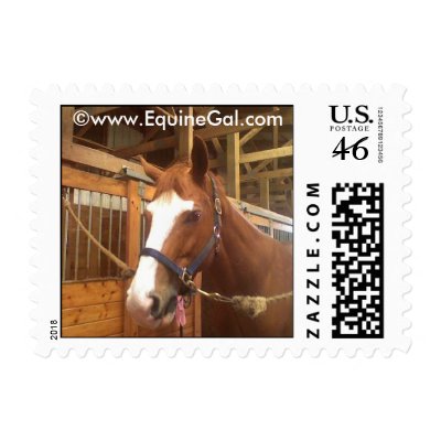 Horse Lover Stamp by EquineGal